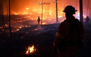 2025-California-Burnt-Offering-Article