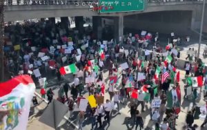 Video-Invader-Anti-ICE-Protesters-Block-LA-Freeway